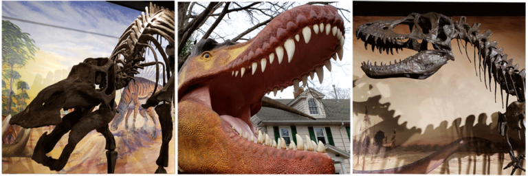 tanglewood dinosaur exhibit